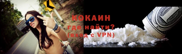 винт Абаза