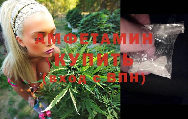 винт Абаза