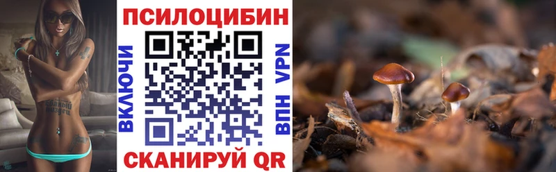 что такое   Кашира  Псилоцибиновые грибы MAGIC MUSHROOMS 
