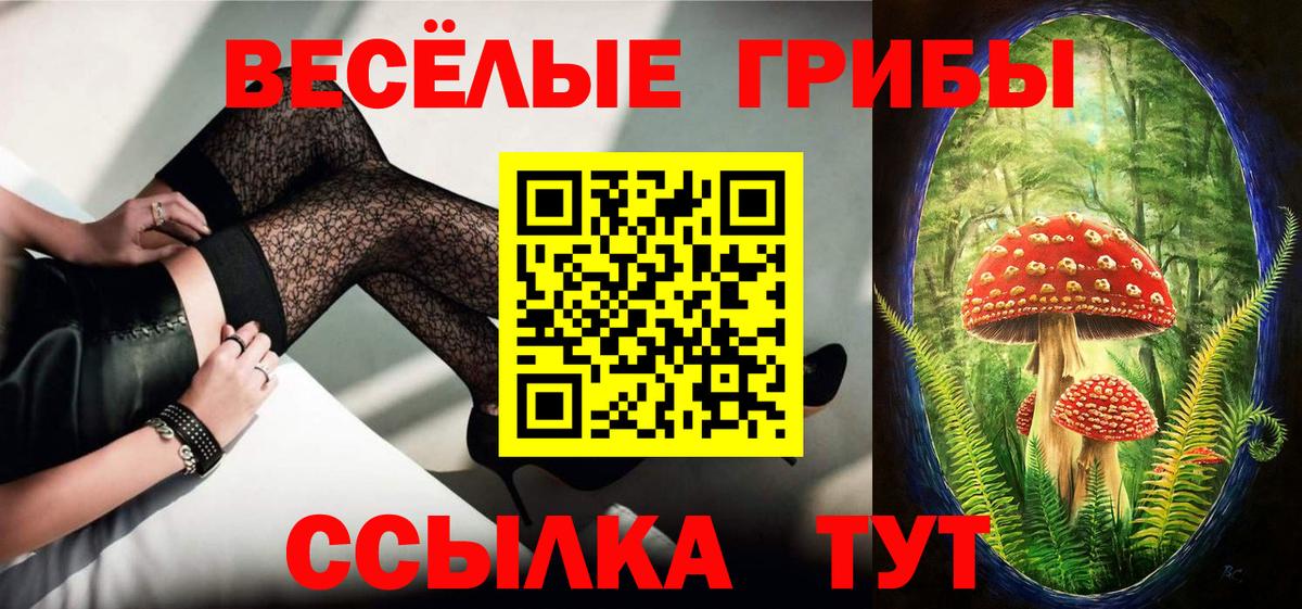 Псилоцибиновые грибы GOLDEN TEACHER Кашира