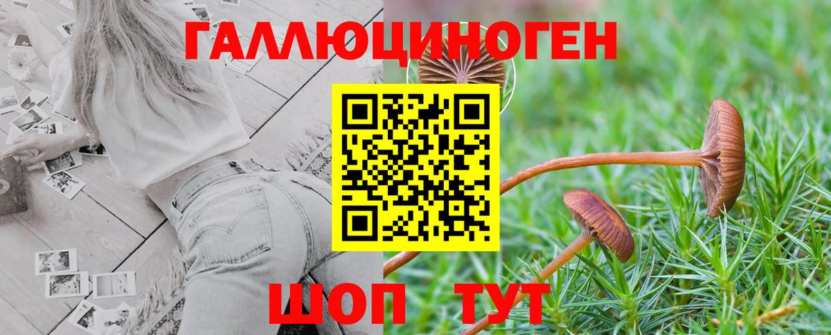 Галлюциногенные грибы Magic Shrooms  Галлюциногенные грибы MAGIC MUSHROOMS  Кашира  Вход с VPN 
